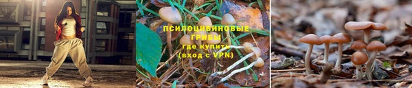 каннабис Володарск