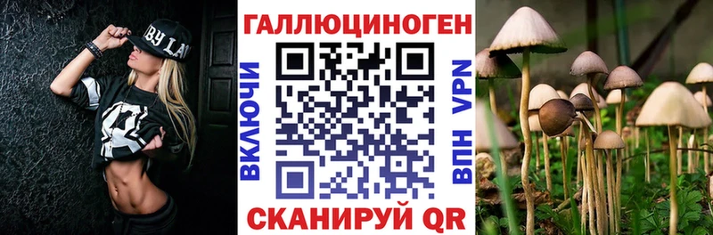 Псилоцибиновые грибы мухоморы  Дубовка 
